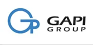 GAPI Group
